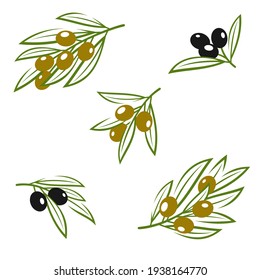 Olives set. Collection icon olives. Vector