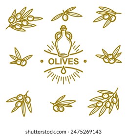 Olives set. Collection icon olives. Vector