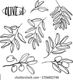 Olives set of elements with olive branches and fruits for Italian, greek or turkish cuisine design or extra virgin oil food or cosmetic product packaging wrapper. Hand drawn Illustration in vector.