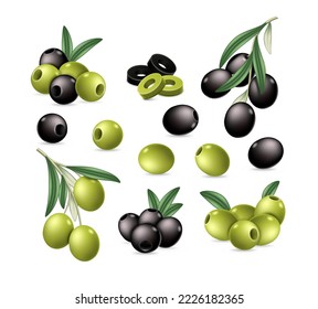 Olives set. Green and black fresh, pitted, slices and whole olive berries on branch isolated. Tasty ingredients for cooking, salad, menu in restaurant and healthy food. Vector illustration