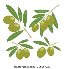 Olives. Set of green olives with green leaves. Vector illustration.