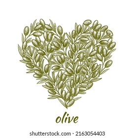 Olives in the shape of a heart. Hand drawn olive illustration. Vegetarian food. For label and poster. Vector illustration.