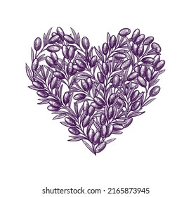 Aceitunas en forma de corazón. Ilustración de oliva dibujada a mano. Comida vegetariana. Para etiqueta y afiche. Ilustración vectorial.