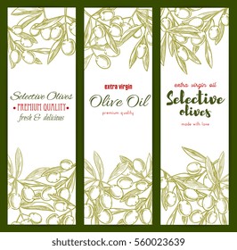 Olives sketch banners set. Vector green olive branches design for extra virgin olive oil bottle label design. Healthy vegetarian food and Italian, Mediterranean or Spanish cuisine ingredient