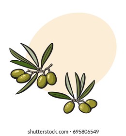 Olives sketch style vector illustration on white background. Realistic hand drawing of olives with space for text.