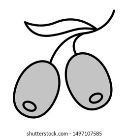 olives thin line vector icon