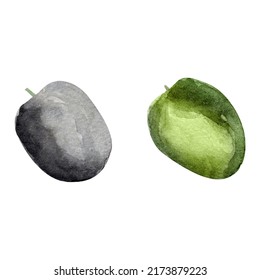 Olives, twigs, oil watercolor set. Template for decorating designs and illustrations.