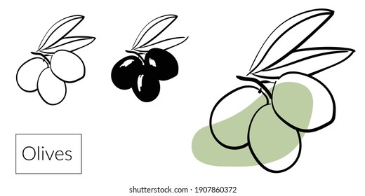 Aceitunas. Ilustración de dibujo de línea blanca y negra vectorial. Línea de arte, tinta, garabato, boceto, línea simple. Imprimir, plantilla de diseño. Aceite de oliva