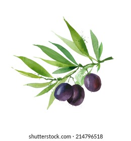 Olives. Vector format