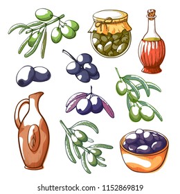 Olives vector hand drawn set isolated from background. Black and green olive berries, branches with leaves, oil in jug illustrations. Colorful hand drawn collection