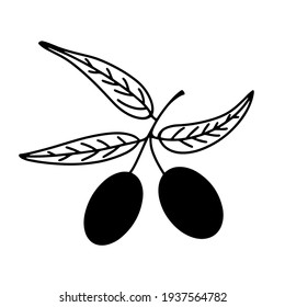 Olives vector icon. Isolated illustration on white background
