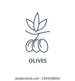 Olives vector line icon, linear concept, outline sign, symbol