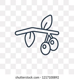 Olives vector outline icon isolated on transparent background, high quality linear Olives transparency concept can be used web and mobile