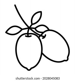  Olives Vector Outline Icon Isolated On White Background
