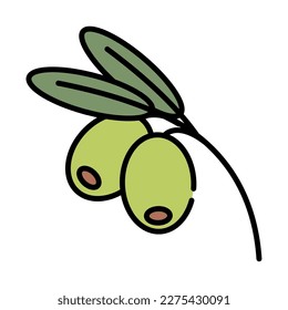 olives vegetable food icon isolated