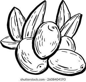 Olives. Vegetables. Hand drawn vector isolated sketch.