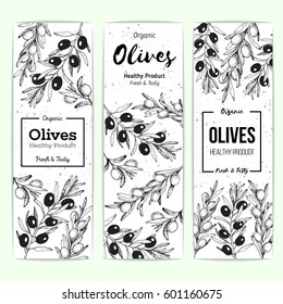 Olives vertical banner set, hand drawn vector illustration. Healthy and organic food design template. Vintage style image. Engraved illustration