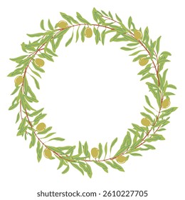 Olives wreath and frame. Vector illustrations. Botanical illustrations
