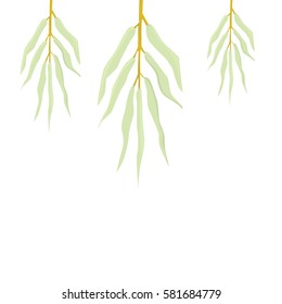 Olivier branches