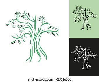 olivier tree