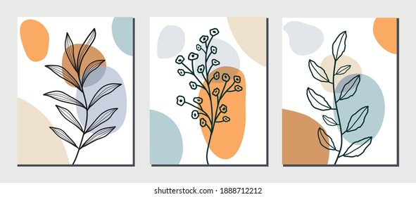 ollection of botanical art lines on abstract backgrounds. Vector illustration