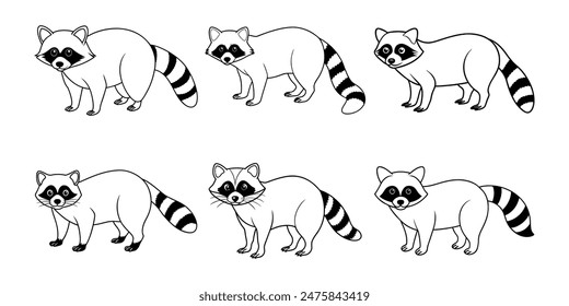 ollection of Raccoons Line Art