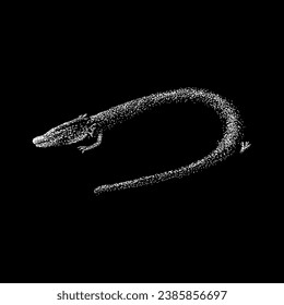 olm hand drawing vector isolated on black background.