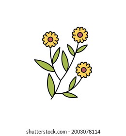 Сalendula olor line icon. Essential oils. Pictogram for web page, mobile app, promo.