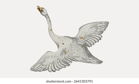 Olor swan constellation, astrology animal illustration by Ignace Gaston Pardies, isolated vector element. 
