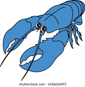 Omar Lobster Seafood Shrimp Blue  Character Illustration