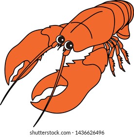 Omar Lobster Seafood Shrimp Red Orange Character Illustration