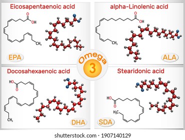 Omega-3, polyunsaturated fatty acids. Eicosapentaenoic acid (EPA), docosahexaenoic acid (DHA), stearidonic acid (SDA), alpha-linolenic acid (ALA). Vector illustration