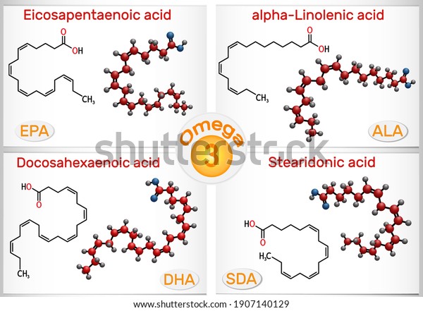 Omega-3, polyunsaturated\
fatty acids. Eicosapentaenoic acid (EPA), docosahexaenoic acid\
(DHA), stearidonic acid (SDA), alpha-linolenic acid (ALA). Vector\
illustration