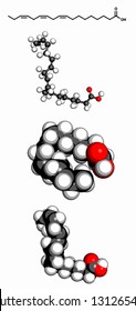 Omega-3 unsaturated fatty acid (alpha-linolenic acid), molecular model. Three representations: 2D skeletal formula, 3D space-filling model and 3D ball-and-stick model.