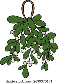 Omela, Holly, Mistletoe or Viscum Album bunch isolated on transparent background. Vector graphic line ink illustration. Christmas celebration. Happy new year. For logo, web, package, sticker.
