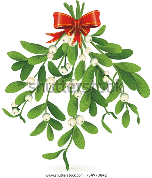 オメラ ホリー ヤドリギ ビスカムのアルバム束と赤いリボンでクリスマスを祝う 白い背景に 新年おめでとう グリーティングカード用のクリスマスベクター イラスト のベクター画像素材 ロイヤリティフリー