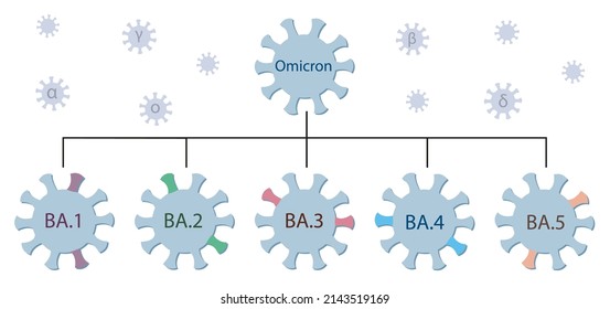 Omicron variant and its main subtypes BA.1 - BA.5. Omicron genetic family tree. Covid-19 virus icons with names. Small viruses with the greek letters alpha, beta, gamma, delta flying around.