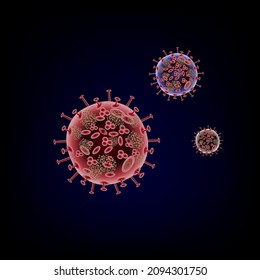omicron  virus vector  in different sizes and colors