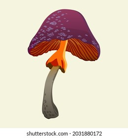 Ominous poisonous mushrooms. Hand drawn vector illustration isolated on background.