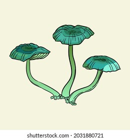 Ominous poisonous mushrooms. Hand drawn vector illustration isolated on background.