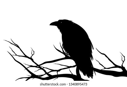 ominous raven sitting on a bare tree branch - black crow bird halloween theme vector silhouette design