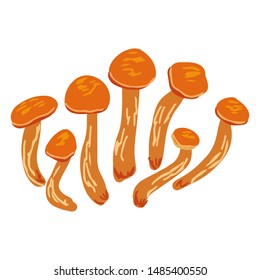 Omphalotus illudens, orange cup mushroom. Flat cartoon style. Vector illustration.