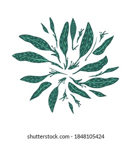 omposition from twigs and foliage on white background. Abstract botanical sketch hand drawn in style doodle vector illustration.