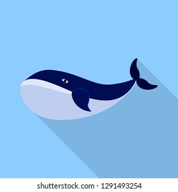 Minke Whale Stock Illustrations Images Vectors Shutterstock