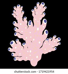 On a black background isolated image of sea coral. The coral is pink in color with many branches and holes. Gentle children's range. For children's toys, books, stationery. Vector graphics.