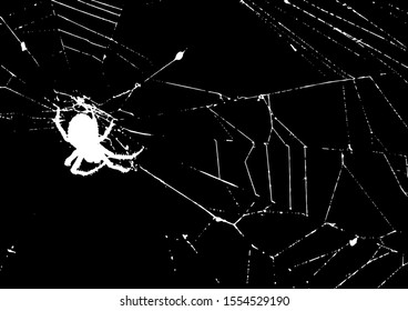On a black background a terrible white silhouette of a spider and a web