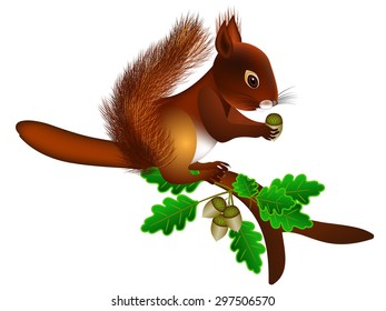 On a branch squirrel with acorns.