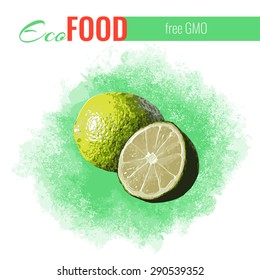 On a bright lime background with watercolor effect. Template for menu design ecological food. Vector illustration.