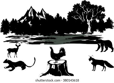 On the edge of the forest. Vector illustration. Wildlife, animals.