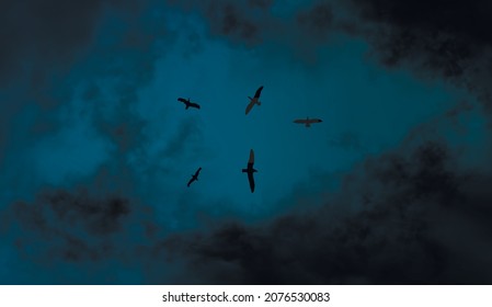 On The Eve Of Storm. Vector Illustration Background Of Seagulls Flying In The Dark Blue Thunder Sky. Stormy Weather With Black Realistic Clouds.